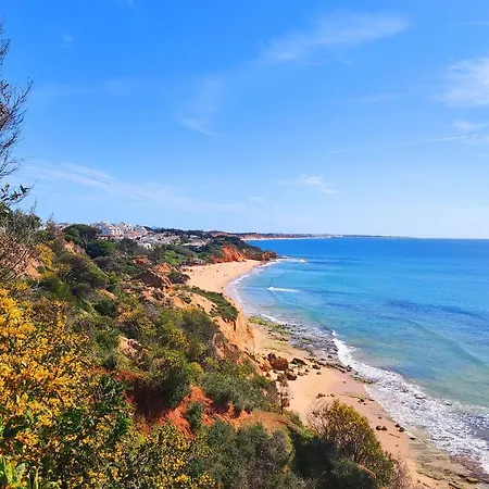 Luxury Townhouse In Complex With Town And Ocean View By Be Cherish Apartment